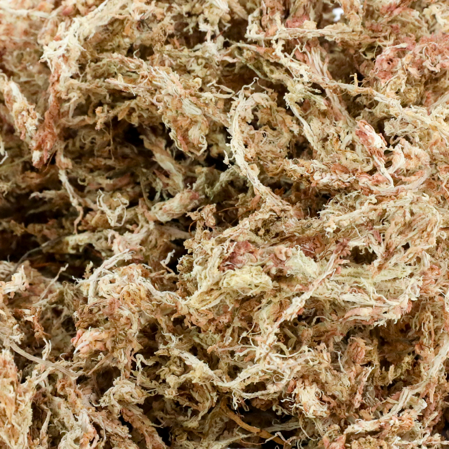 Premium Sphagnum Moss