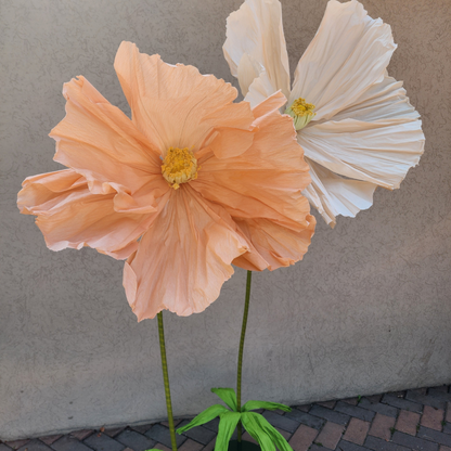 Life Size Flowers - Colourful Poppy!