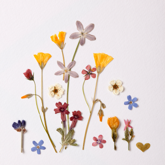 Painting with Petals  - Pressed Flower Workshop