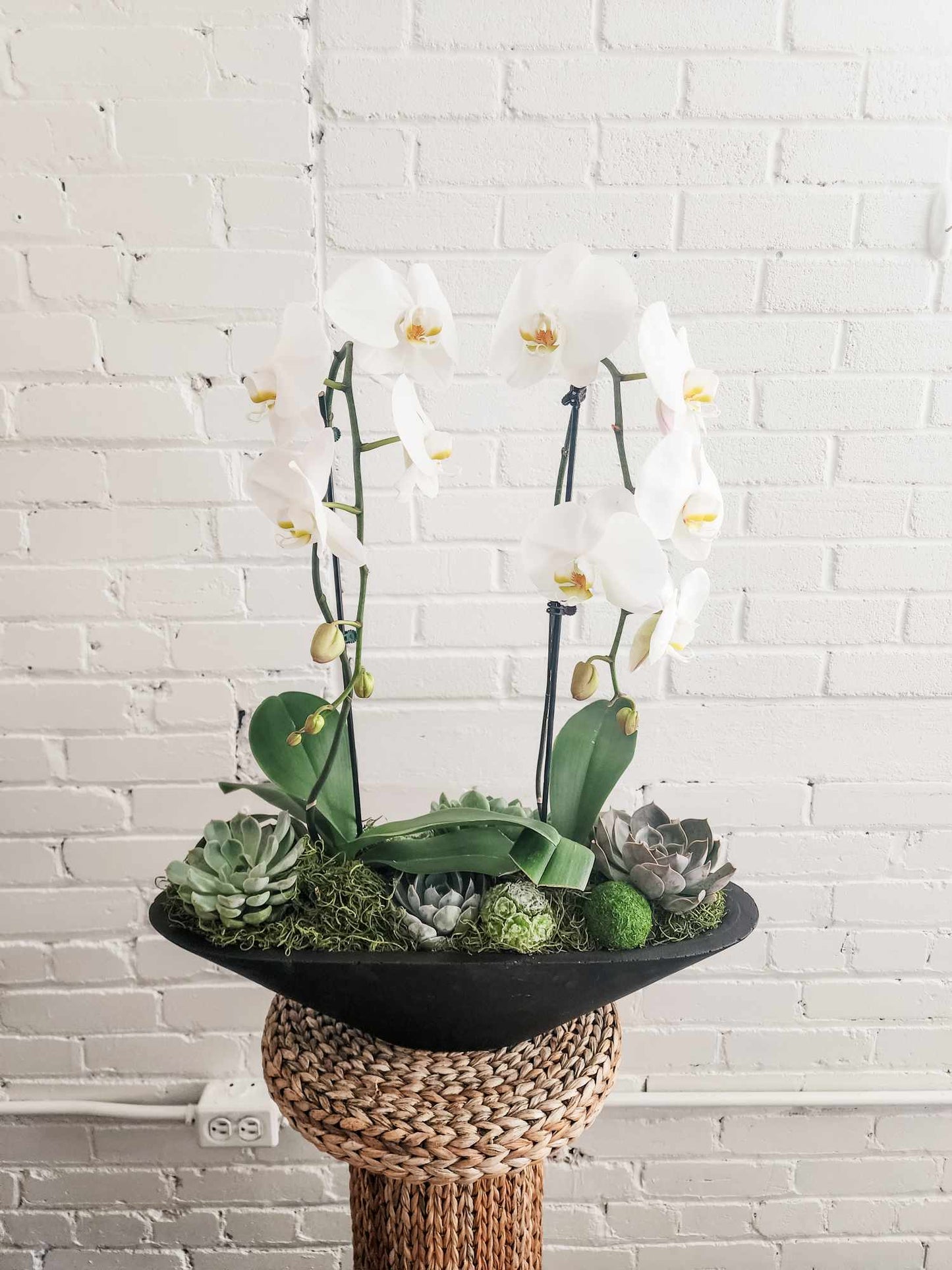 Luxe Orchid & Succulent Arrangement