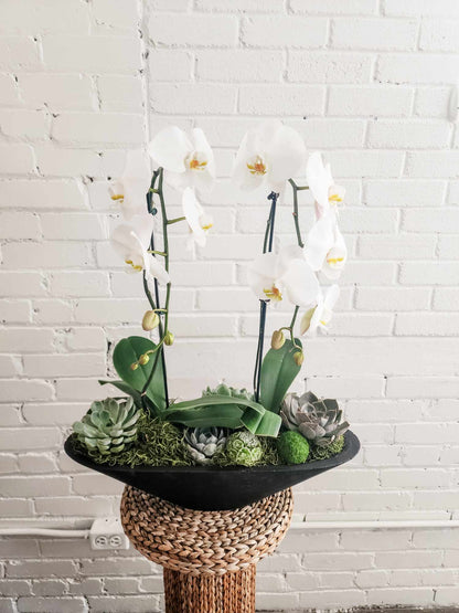 Luxe Orchid & Succulent Arrangement