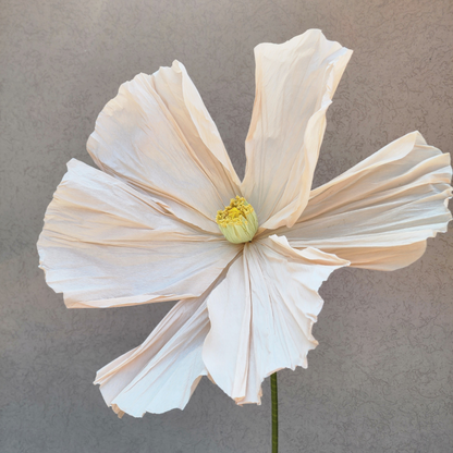 Life Size Flowers - Colourful Poppy!