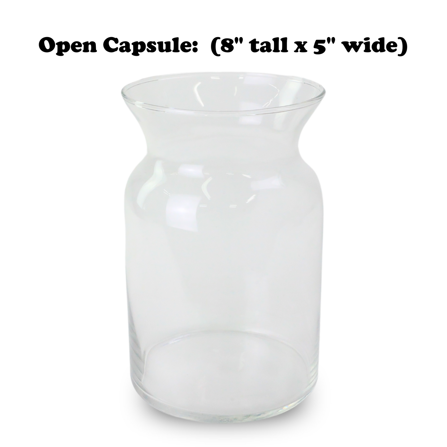 Mossify Terrarium Kit