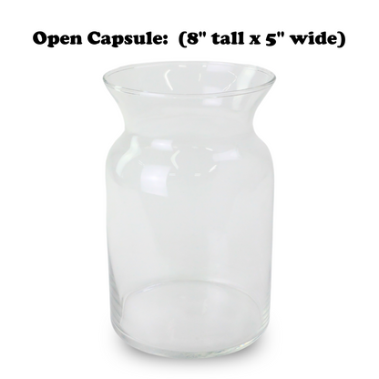 Mossify Terrarium Kit