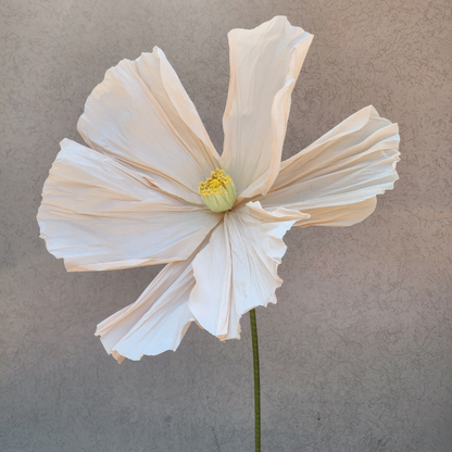 Life Size Flowers - Colourful Poppy!