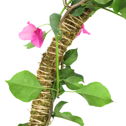The Bendable Moss Pole™ 𝘛𝘏𝘐𝘕