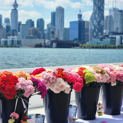 Carnation Flower Crown Activation