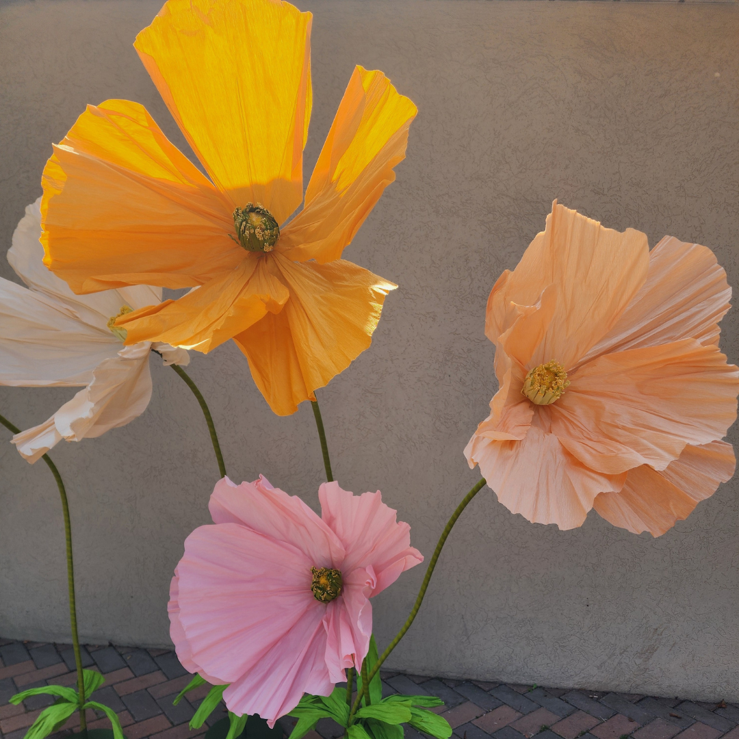 Life Size Flowers - Colourful Poppy!