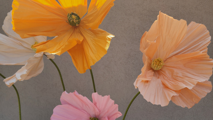 Life Size Flowers - Colourful Poppy!