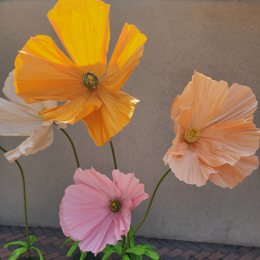 Life Size Flowers - Colourful Poppy!