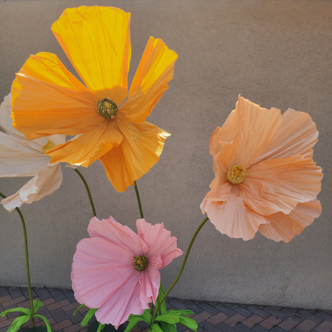 Life Size Flowers - Colourful Poppy!