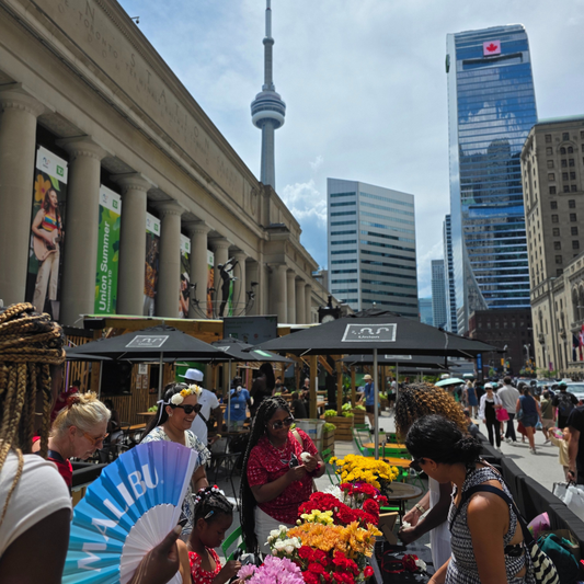 Carnation Flower Crown Activation