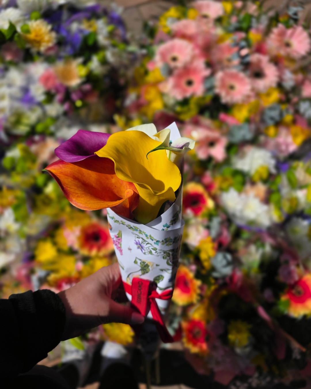 Wrapped Flower Bouquets for Brand Activations, Corporate Events & Retail Gifting