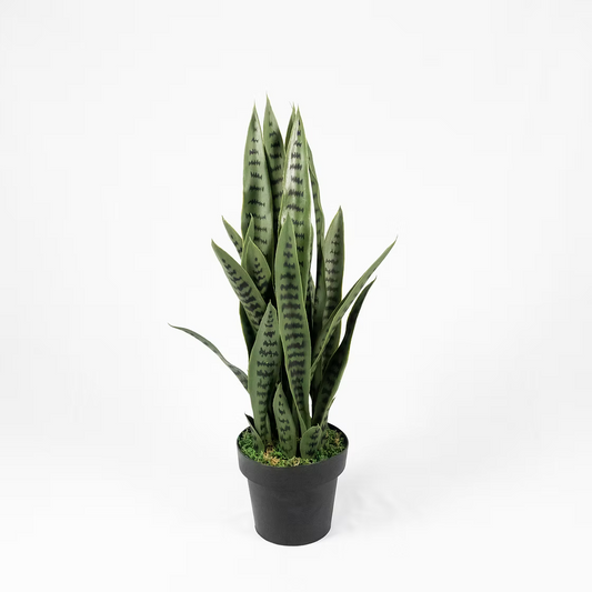 Snake Plant Sansevieria (Faux)