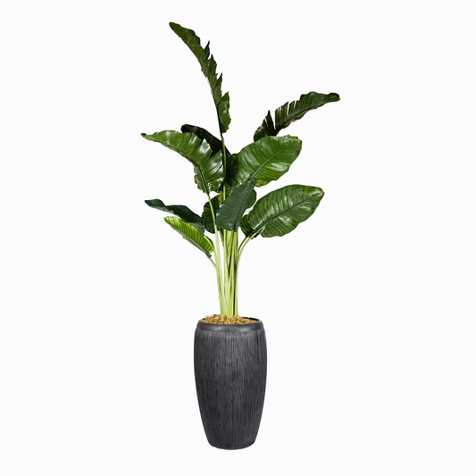 Traveller's Palm (Faux)