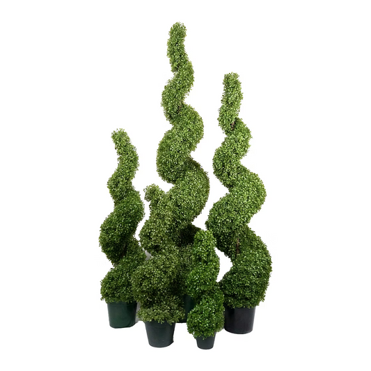 Boxwood Spiral Tree (Faux)