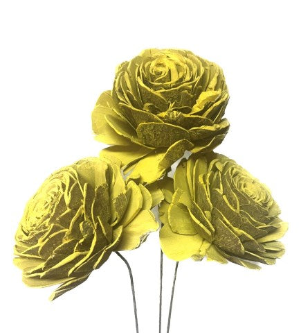 Sola Roses Large