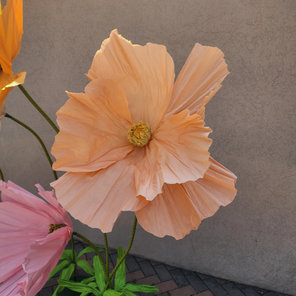 Life Size Flowers - Colourful Poppy!