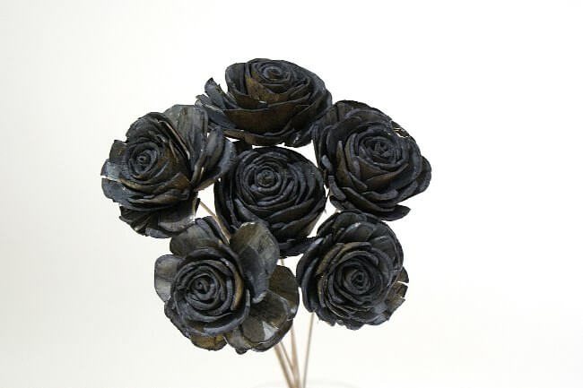Sola Roses Small