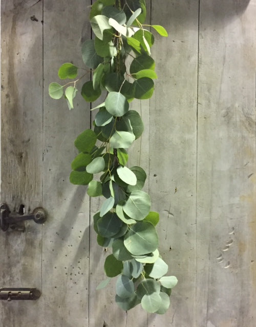 Fresh Garland Table Runner  - Eucalyptus, Baby' Breath, Ruscus