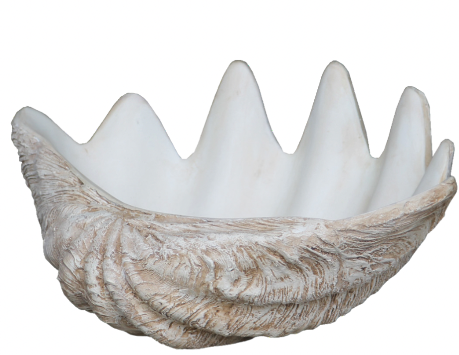 Luxe Giant Clam Shell Polystone Pot