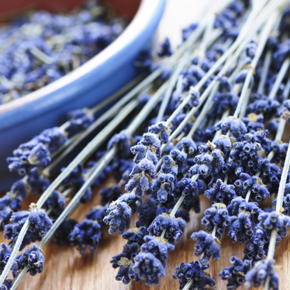 Dried Lavender Bouquet