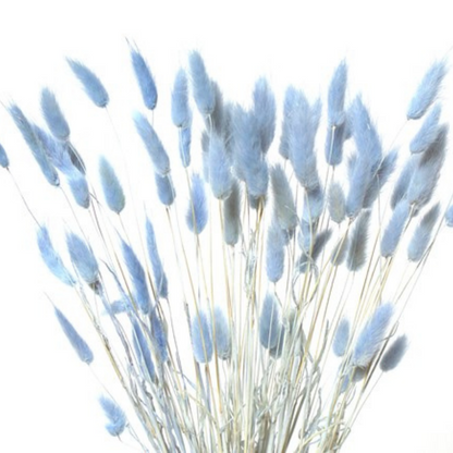 Bunnytails Blue