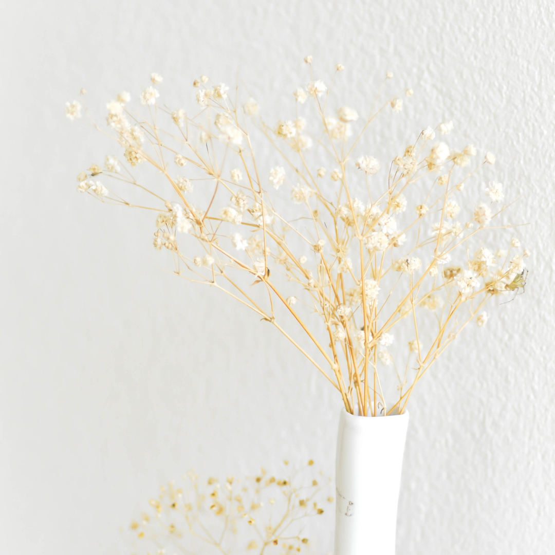 Dried Baby's Breath Bunch