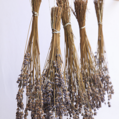 Dried Lavender Bouquet