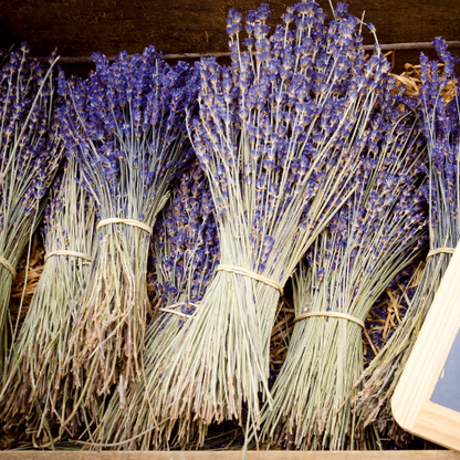 Dried Lavender Bouquet