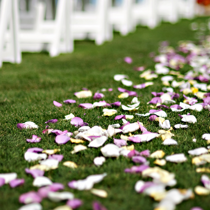 Natural Rose Petals Wedding Aisle Decor