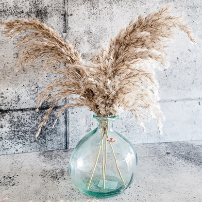 Natural Pampas Grass - 4 Stems