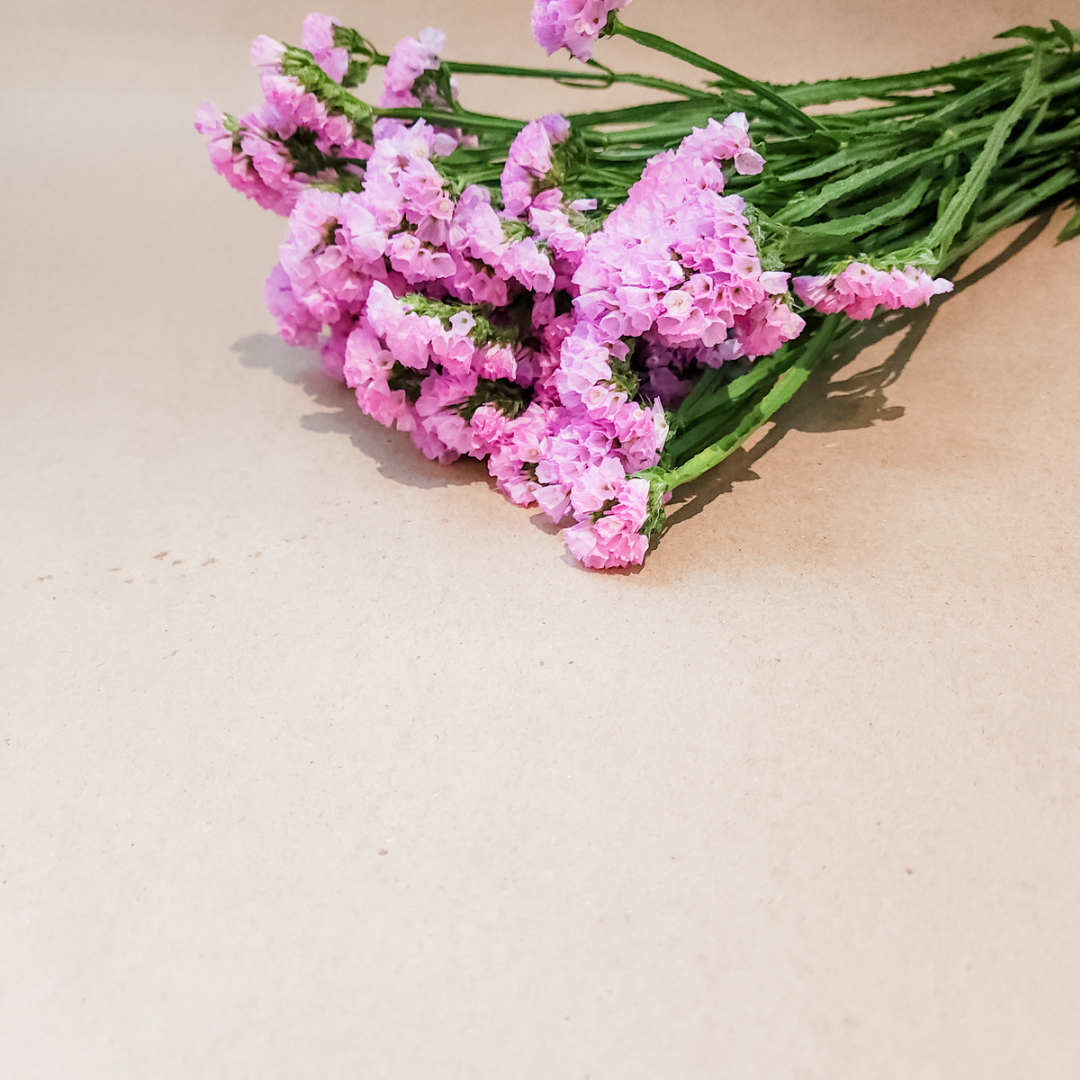 Statice Flower Pink – Plantita & Co. Bloom Bar & Studio