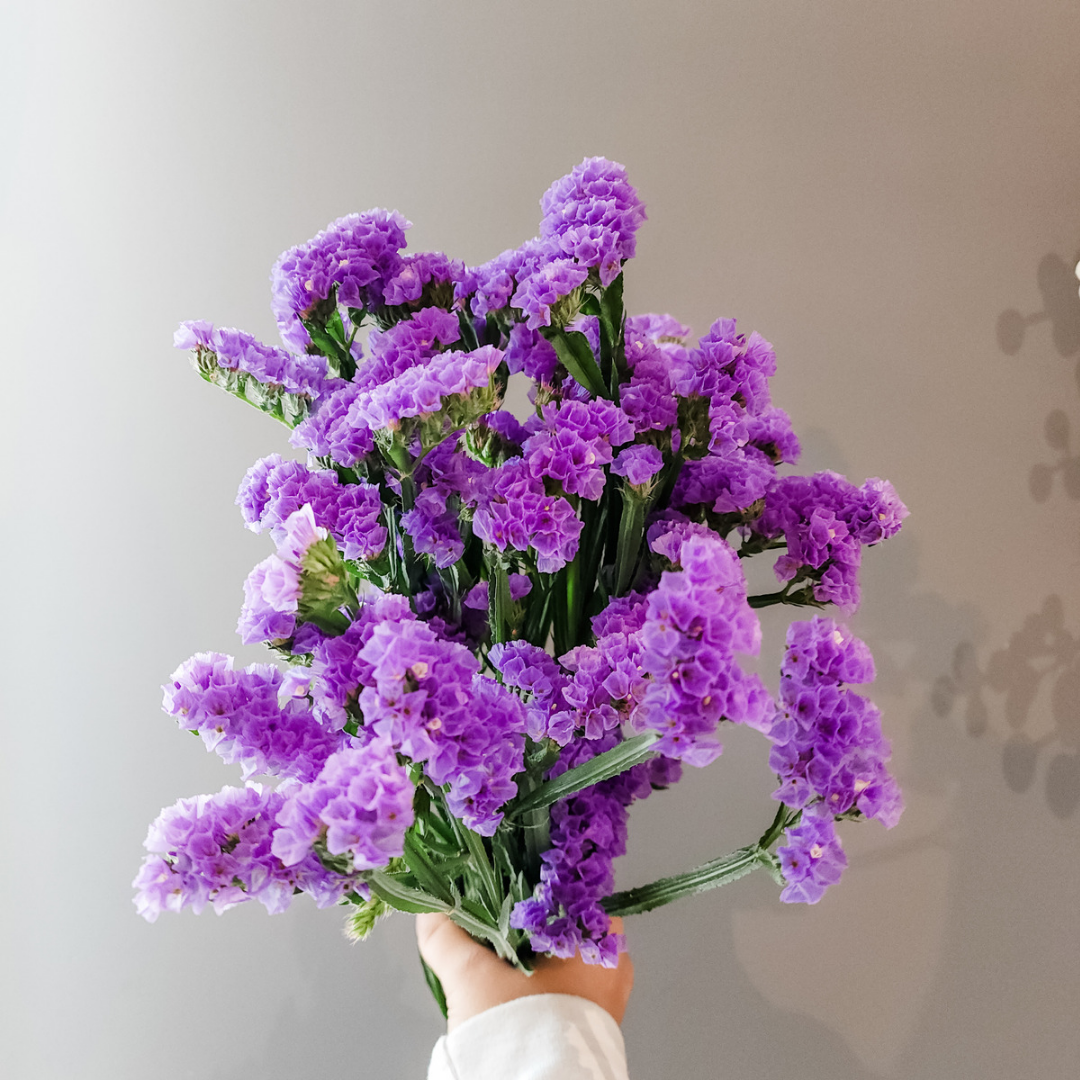 Statice Flower Purple