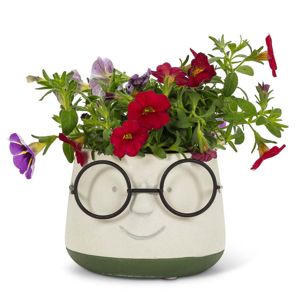 Mr. Spectacle Planter