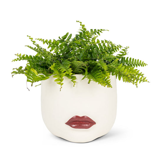 The Suzana Planter L