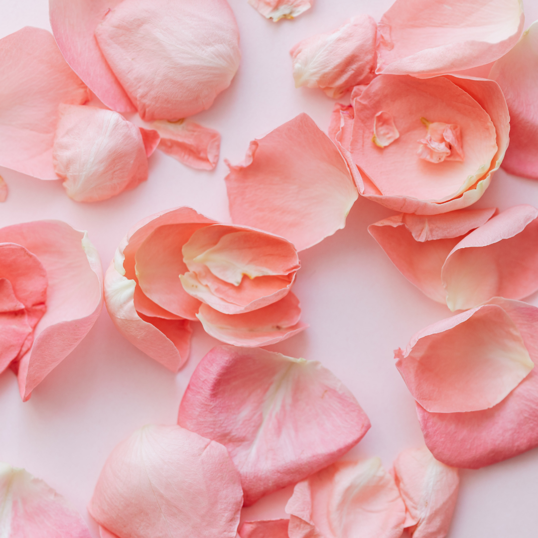 Natural Rose Petals Wedding Aisle Decor