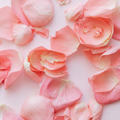 Natural Rose Petals Wedding Aisle Decor