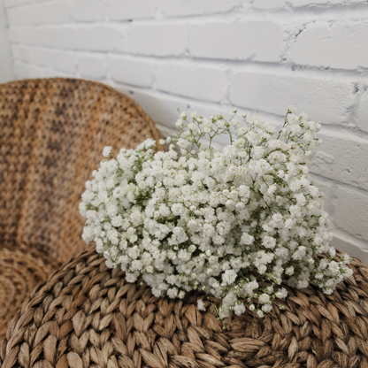 Baby's Breath Bouquet