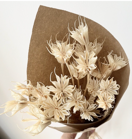 Dried Nigella Orientalis