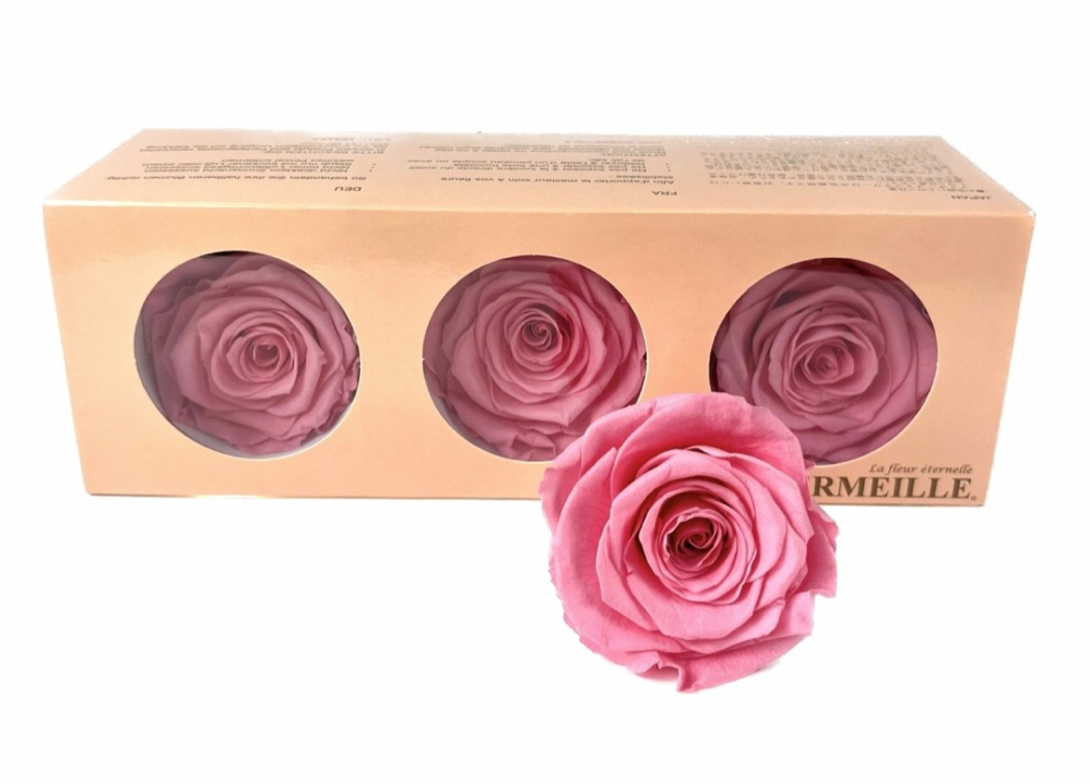 Preserved Everlasting Roses – Plantita & Co. Bloom Bar & Studio